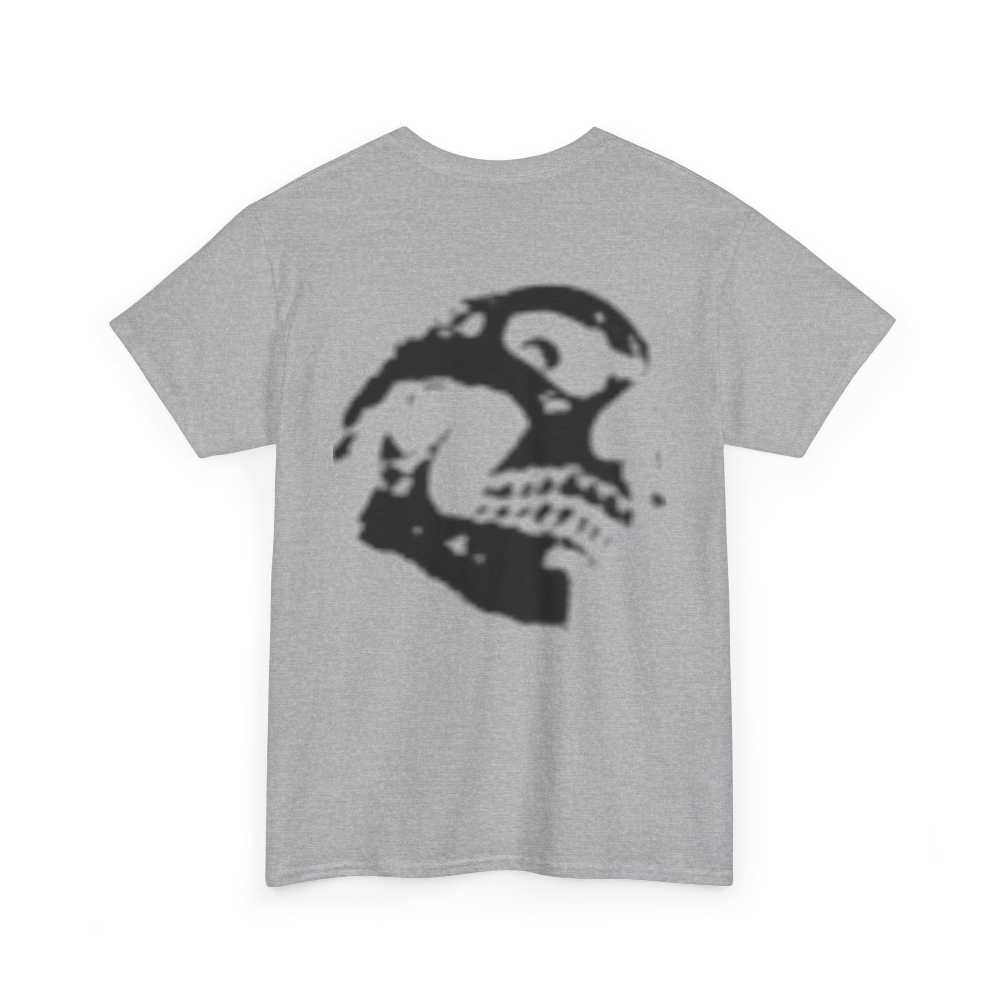 Appolo Shadow Skull Tee