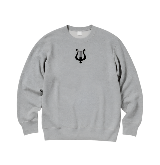 Appolo™ Gray Classic Sweater (Centered)